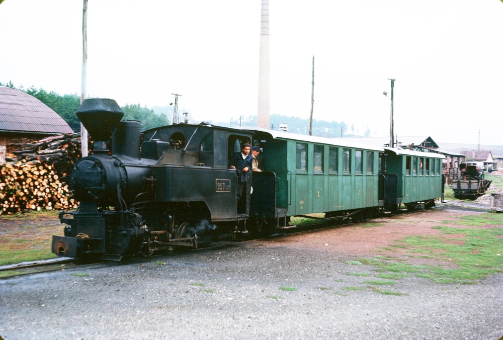 Forest line NW of Miscolc in 1964