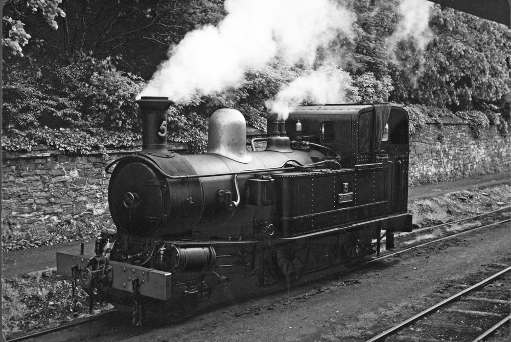 No5 Mona At Douglas