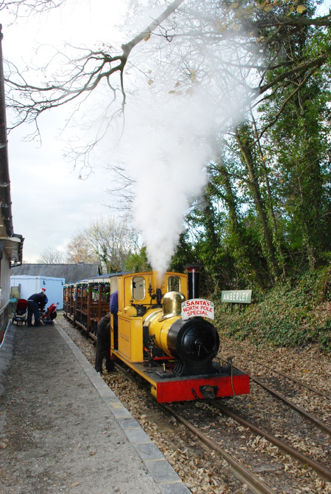 Polar Bear on a Santa Train in 2013