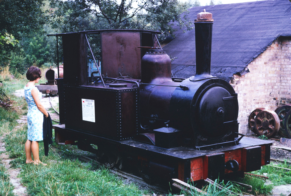 Townsend Hook at Brockham Museum