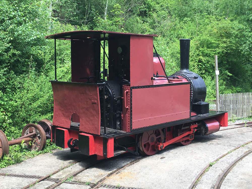 Townsend Hook resting in the sun with her new paint applied