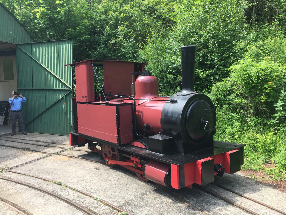 Townsend Hook resting in the sun with her new paint applied