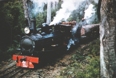 page7-1002-full.jpg