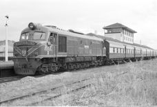 WAGR X Class 1017 Ewenyoon.jpg