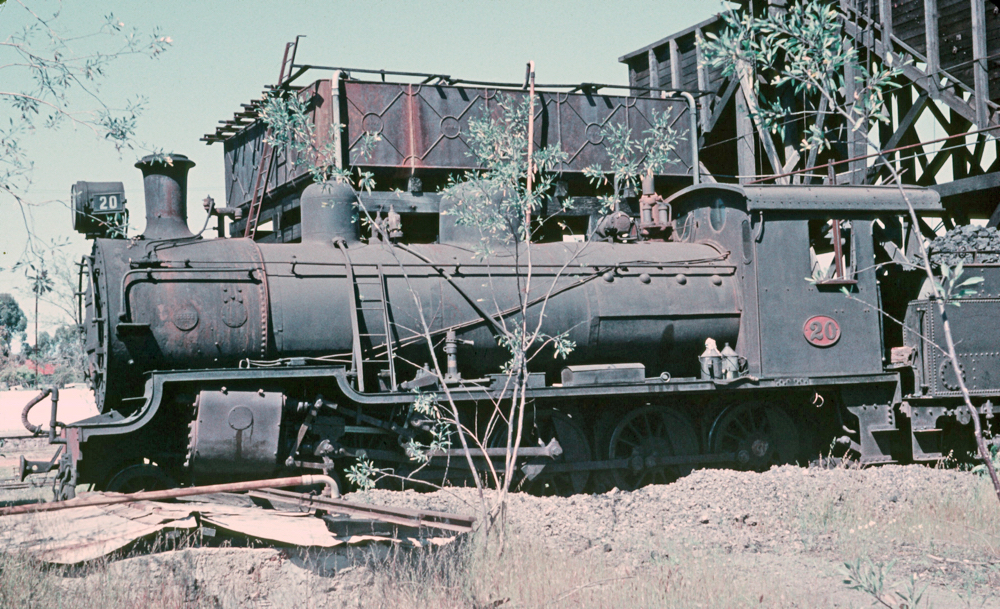 Midland Railway of WA No 20 in the bushes at Midland Junction