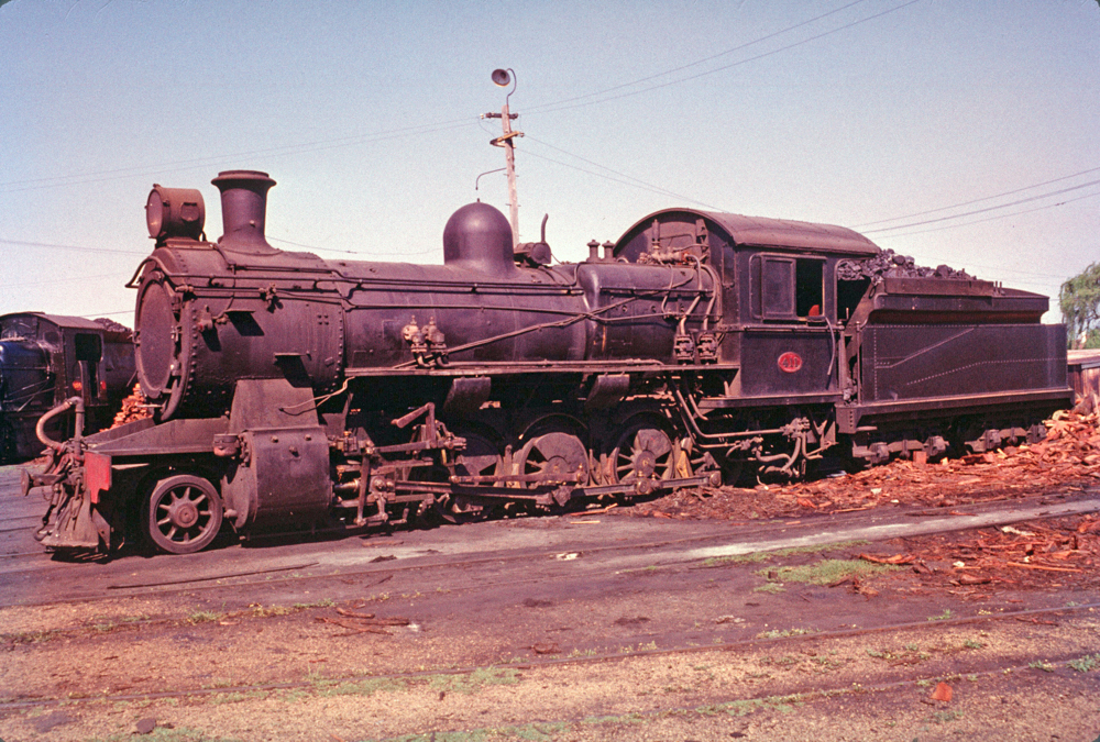 WAGR FS Class 411 at Bunbury 1962