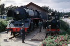 Little and Large at Hamer.jpg