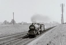 King at speed