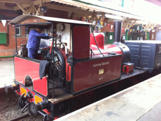 Baxter on Bluebell