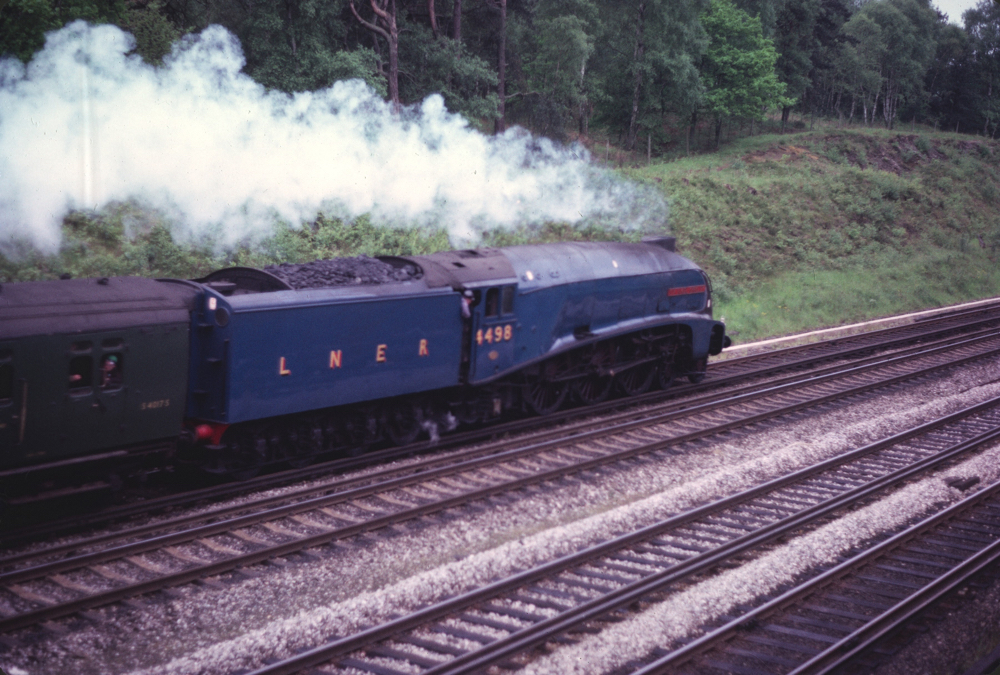 Sir Nigel on the up local