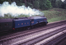 Sir Nigel on the up local